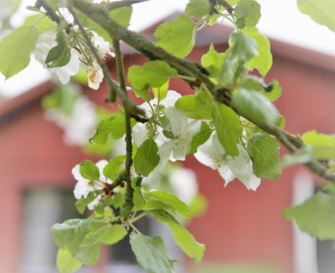 Villa Maria Garden Cottages, Хелзингборг Екстериор снимка