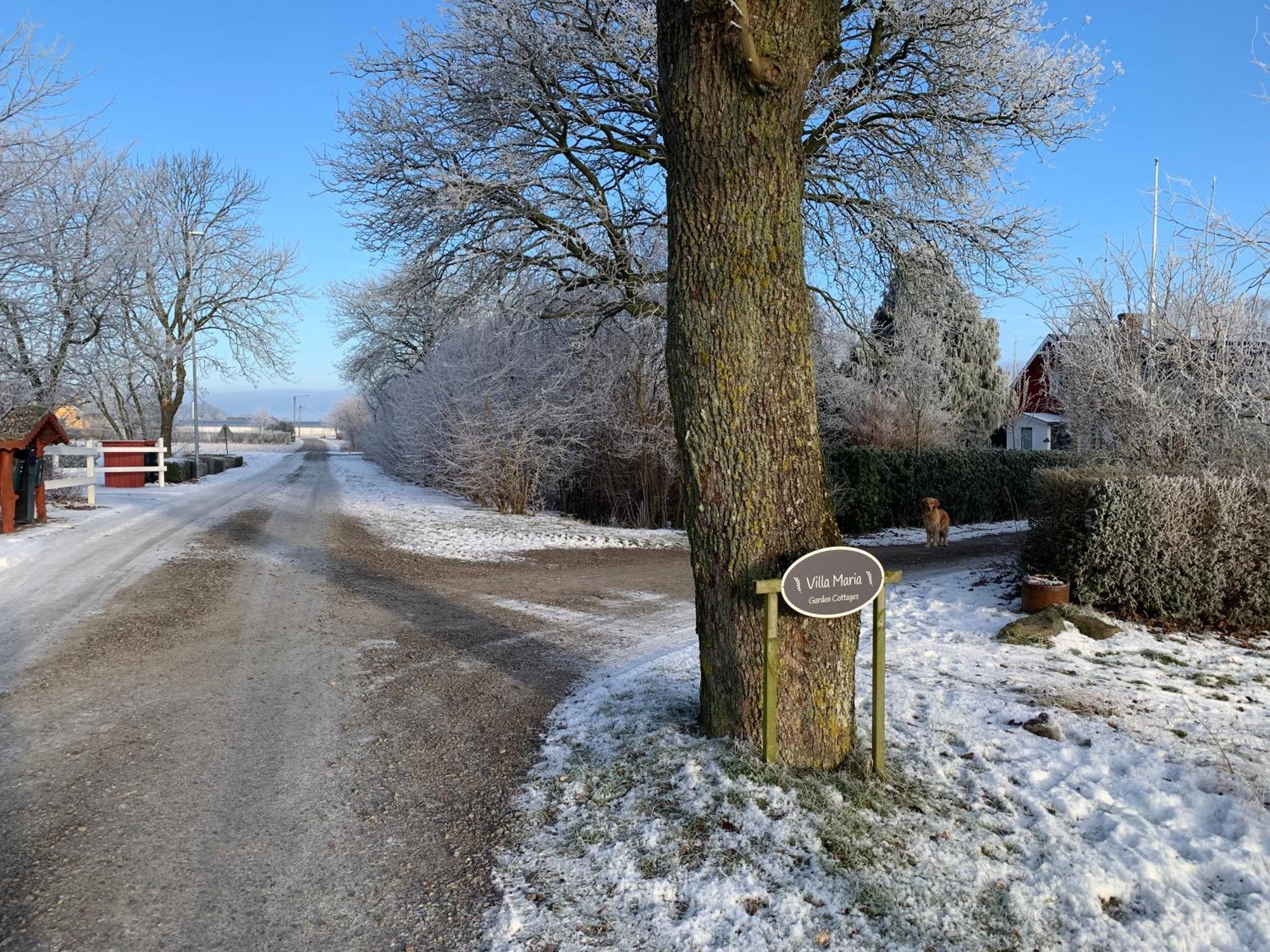 Villa Maria Garden Cottages, Хелзингборг Екстериор снимка